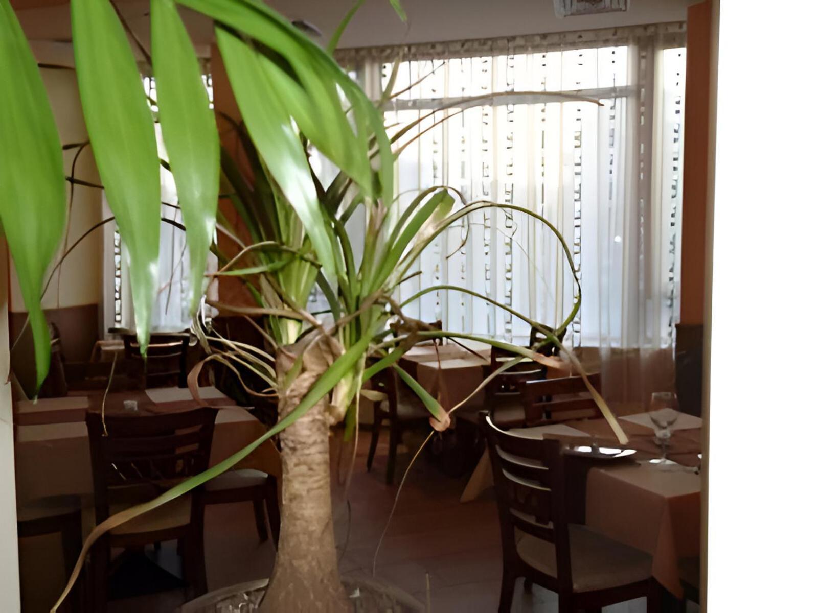 Hotel Elica Warna Zewnętrze zdjęcie